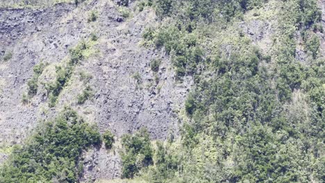 Eine-Filmische,-Dröhnende-Aufnahme-über-Einem-Wandersteinhaufen-Zeigt-Die-Steilen-Hänge-Des-Kilauea-Iki-Kraters-Im-Hawaii-Vulcanes-Nationalpark