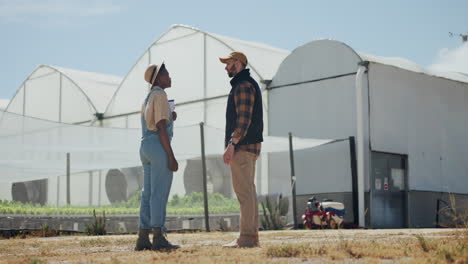 colaboración de los agricultores en un invernadero