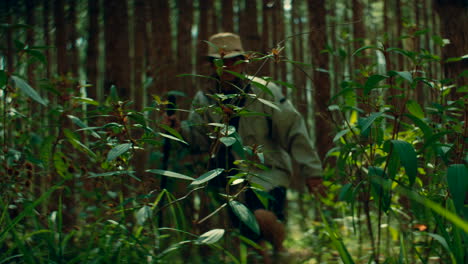 man hiking in a pine forest