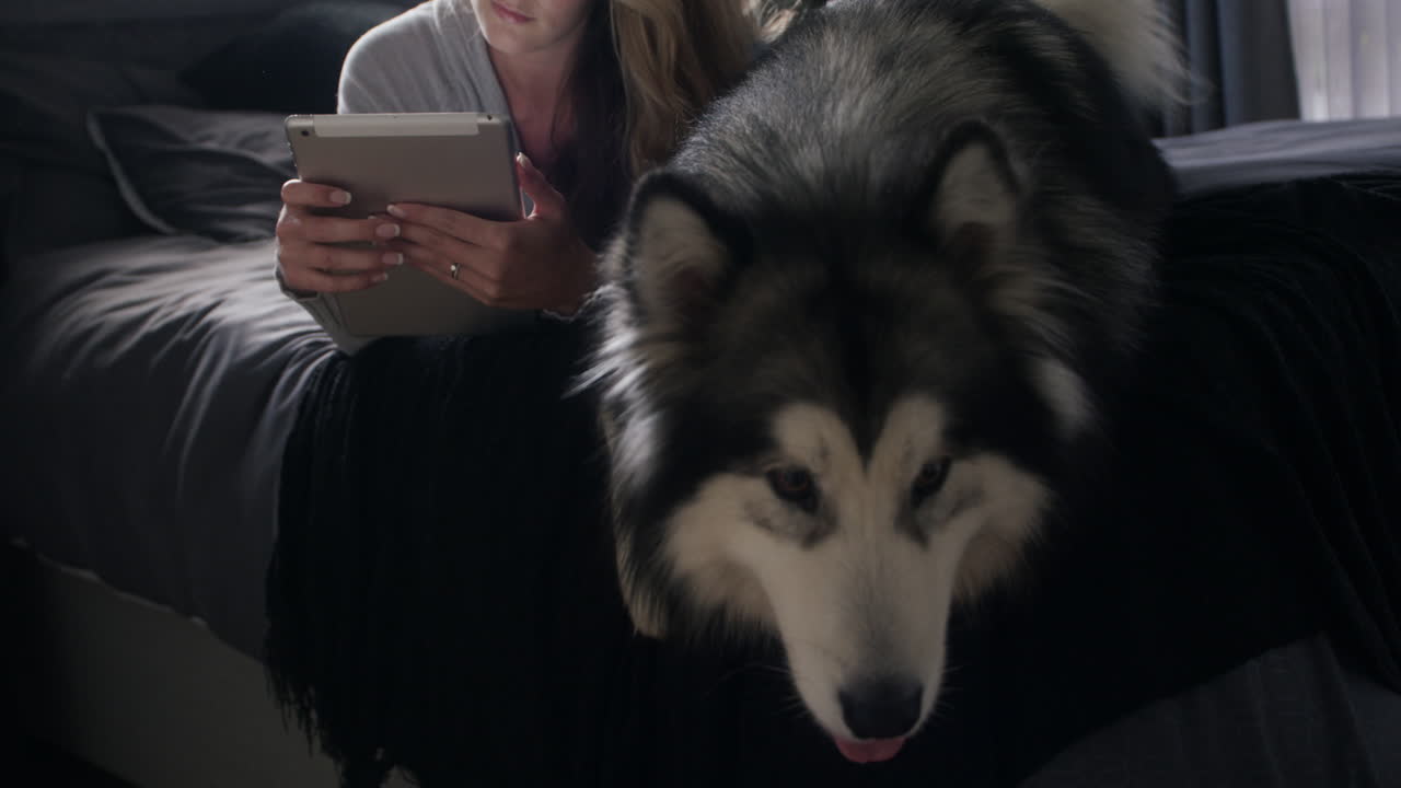 간단 한 휴식 의 하루 를 즐기십시오