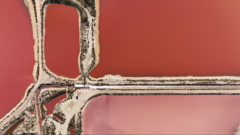 perspectiva de pájaro de las fascinantes salinas rosadas de salin du midi.