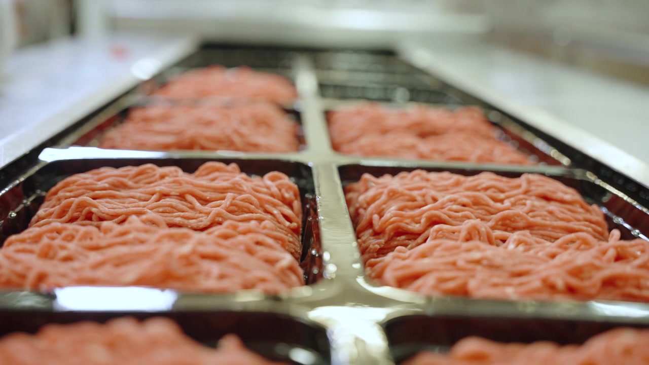 Rows of raw mince in black trays move past as a gloved worker inspects the packs on a food factory conveyor.