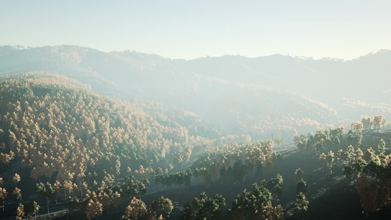 가을의 산림 풍경