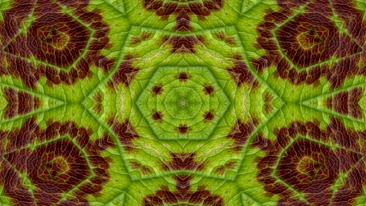 abstracto flores coloridas concepto de flora patrón simétrico ornamental decorativo caleidoscopio movimiento círculo geométrico y formas de estrellas