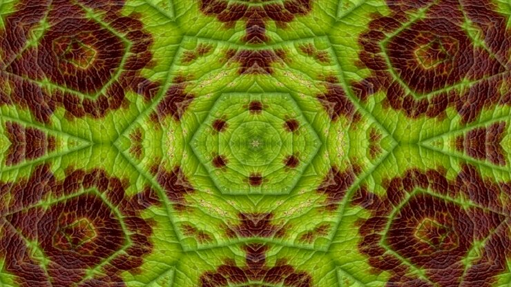 Fiori colorati astratti Flora Concetto Reticolo simmetrico Ornamentale decorativo Movimento caleidoscopio Cerchio geometrico e forme a stella