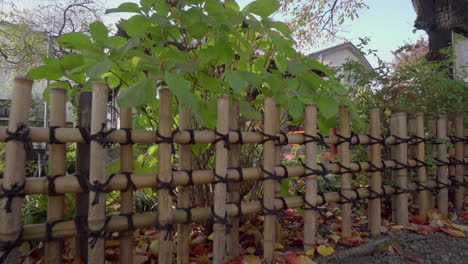 los templos budistas en japón suelen estar rodeados de jardines y agua, creando una atmósfera única y hermosa, propicia para entrar en la calma interior.