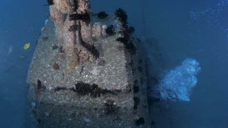 a scuba diver enters a large underwater structure resting on the sea bed deep below the ocean surface