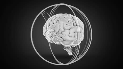 animación del cerebro humano en 3d girando sobre un fondo negro.