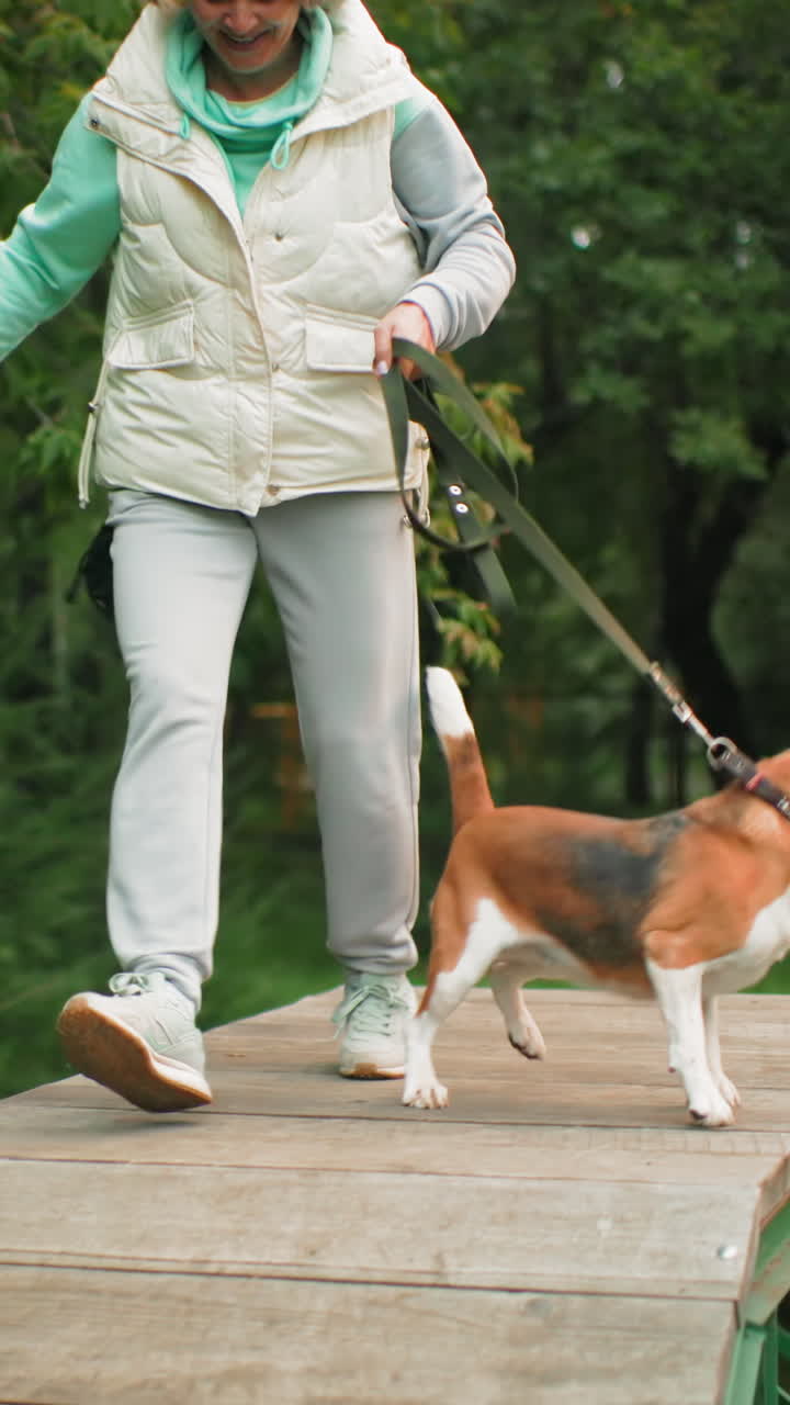 Mujer caucásica de edad avanzada paseando a un beagle por un paseo marítimo de madera a través de un parque verde, jubilada sonriente con chaleco blanco y sudadera con capucha color menta que lleva a un beagle ansioso con correa, ejercicio ligero y alegre compañía de mascotas