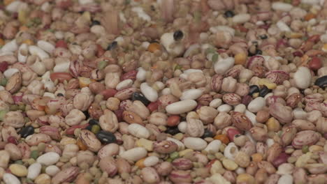 dry legumes dry beans falling