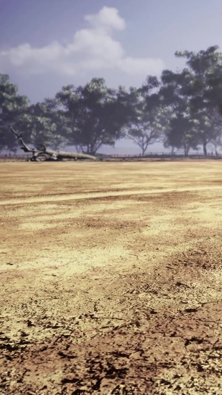 Track with tire marks between trees in a natural landscape during daylight