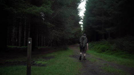 hiker with a backpack walking down a gloomy forest path