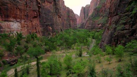 imágenes aéreas de 4k de los estrechos en el parque nacional de zion, utah, estados unidos