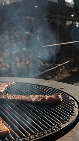 delicious outdoor barbecue ribs