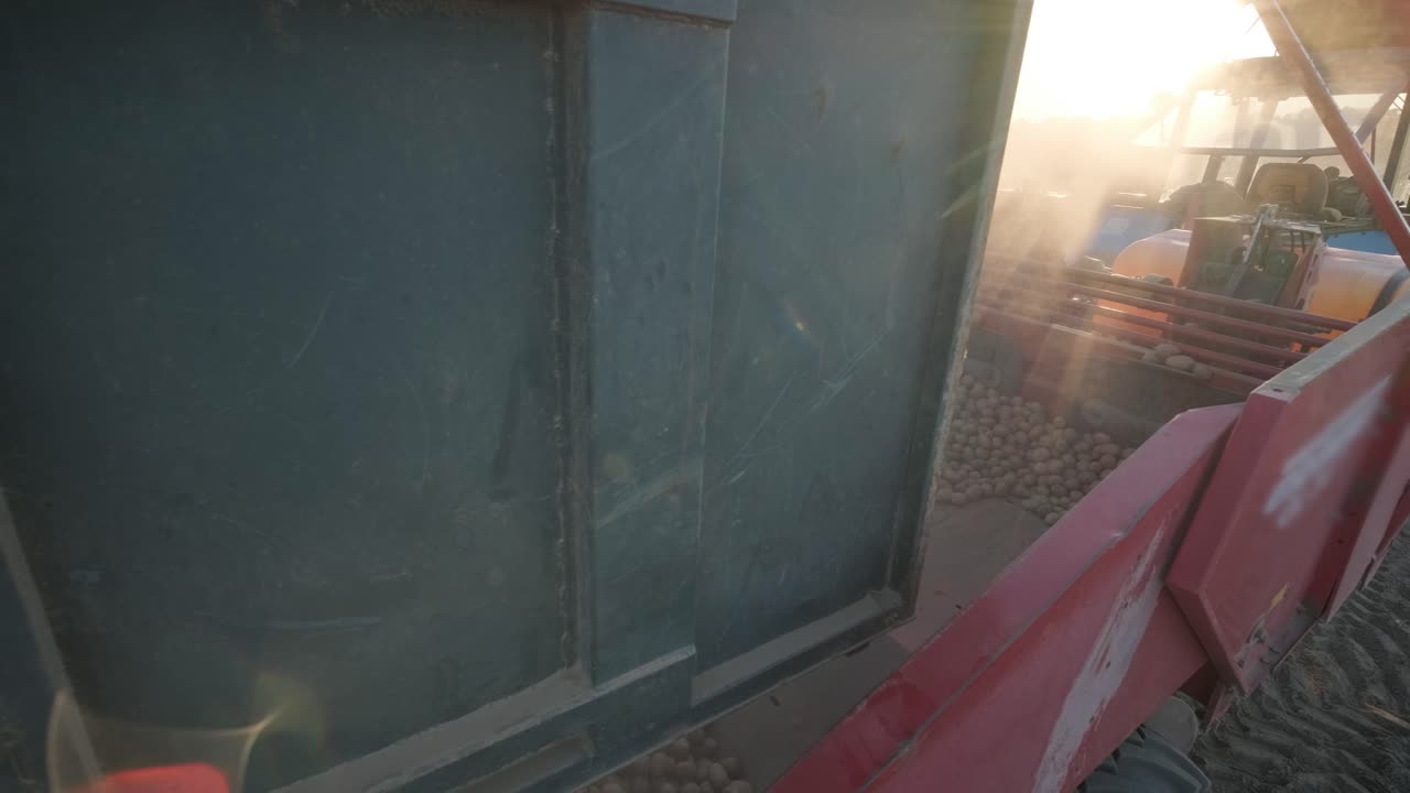 plantar un gran campo agrícola. llenar el tractor con patatas. el tractor vierte patatas en los agujeros. trabajo agrícola, agricultura.