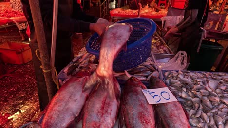 vendor arranging fish at a bustling market