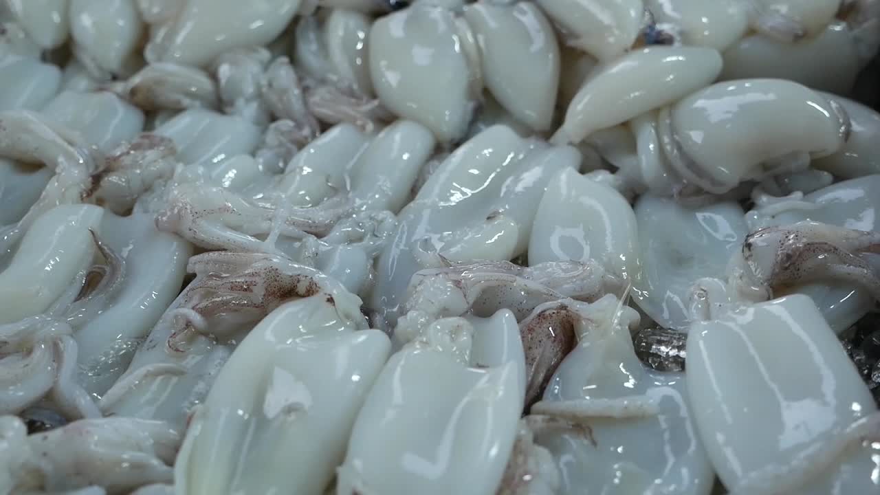 varios tipos de mariscos crudos, de cerca