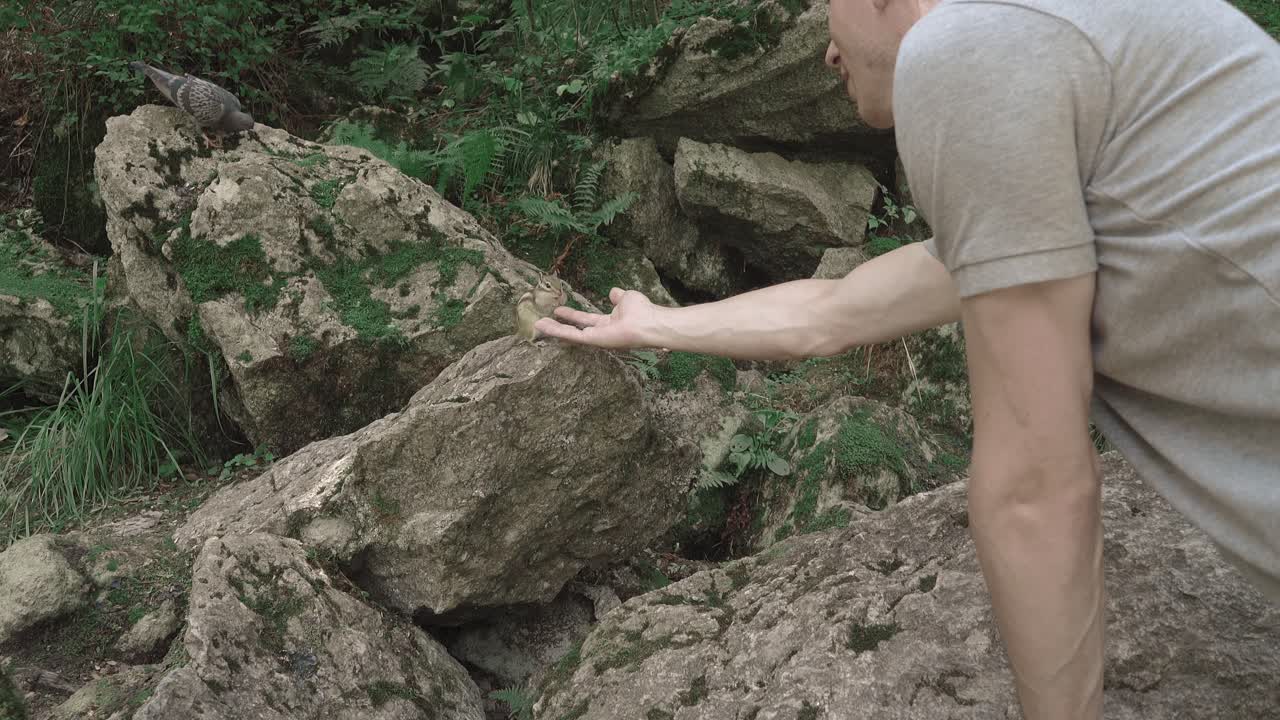 молодой человек в лесу кормит семена белки руками.