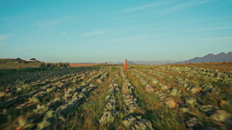 Bauernhof,-Natur-Und-Drohne-Einer-Person,-Die-Auf-Dem-Feld-Geht