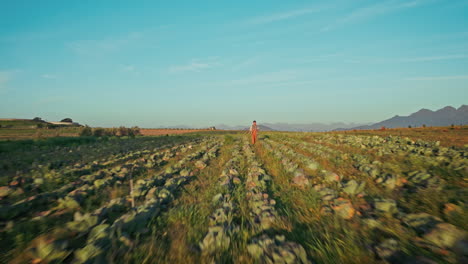granja, naturaleza y drone de la persona que camina en el campo
