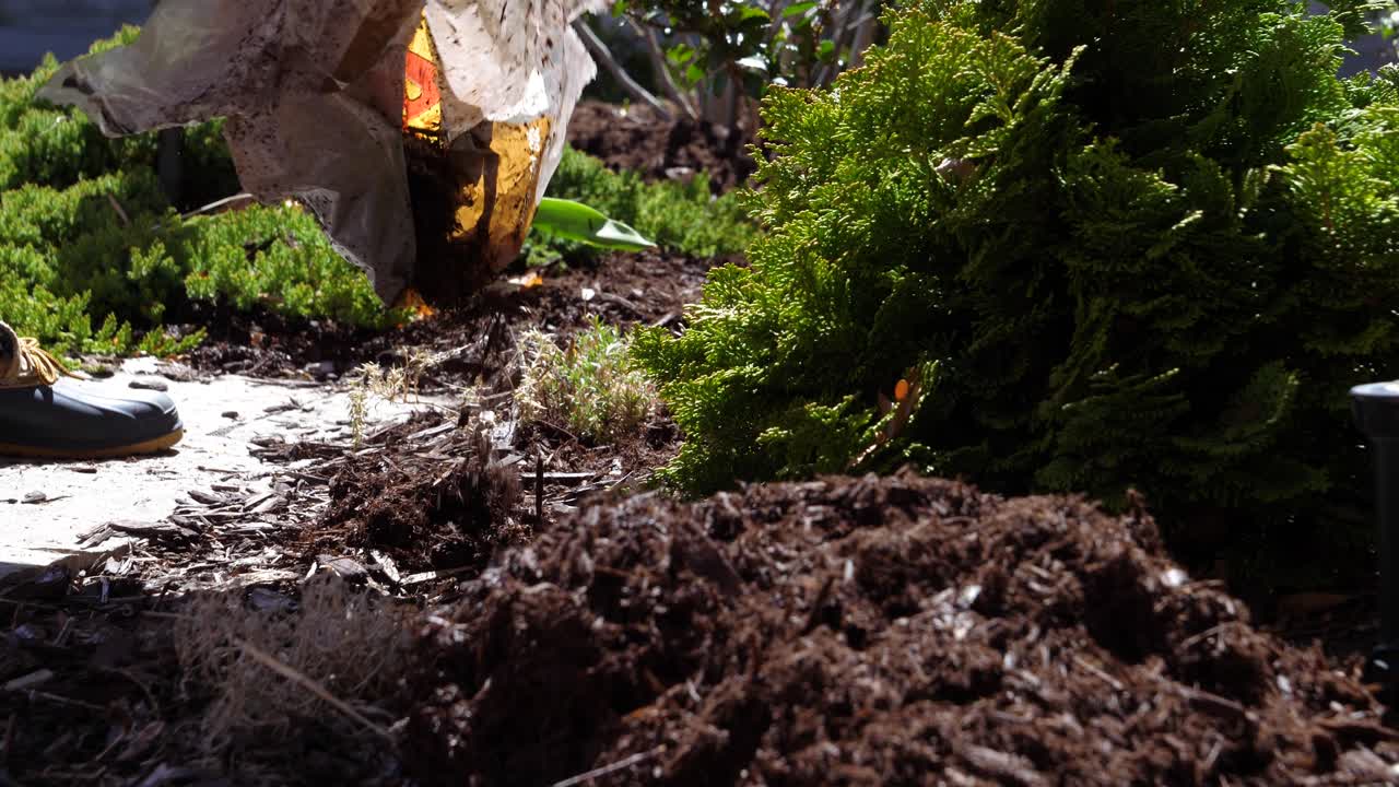 Disposizione e spargimento di pacciamatura marrone sminuzzata in giardino - Slow motion 60fps
