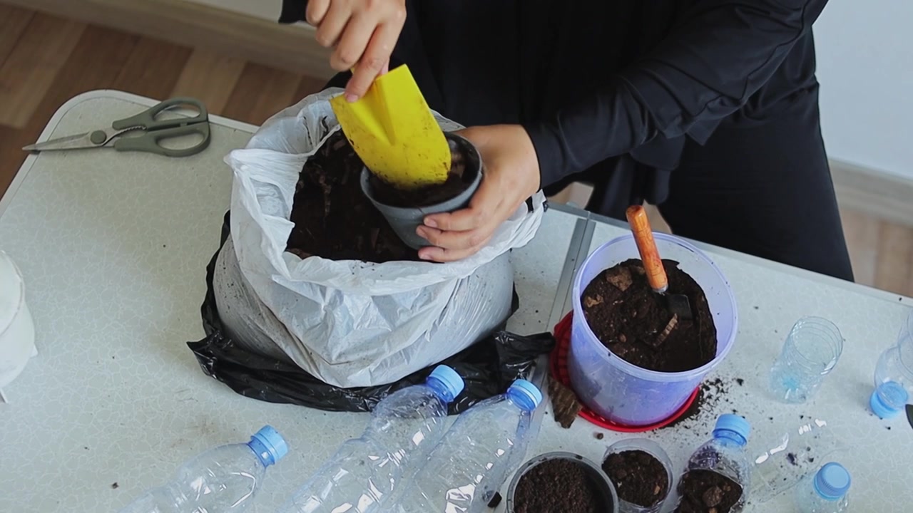 ASMR gardening video of scooping soil from bag with yellow shovel into small flowerpot