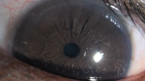 human eye open and closing extreme close up view