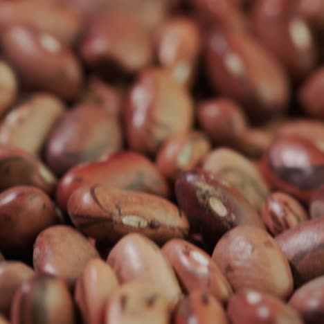 frijoles de diferentes variedades yacen sobre la mesa 1