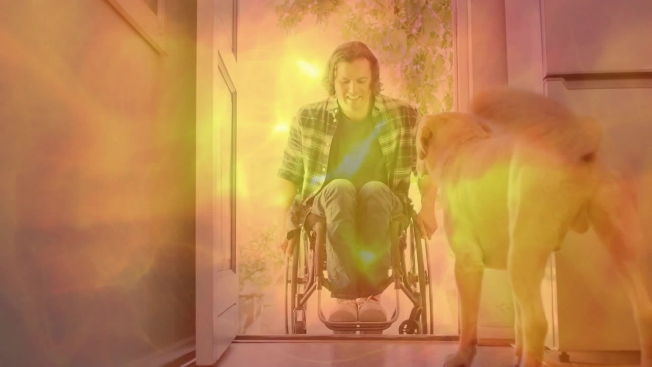 Man in Wheelchair Interacting with His Dog at Home