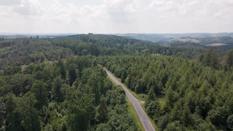 Hermosas-Imágenes-Aéreas-Siguen-Una-Carretera-Asfaltada-Que-Cruza-Los-Enormes-Bosques-De-Pinos-Que-Cruzan-El-Paisaje-Montañoso-En-El-Ruebengarten-Alemán