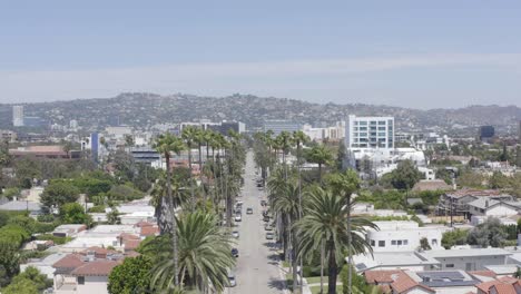 aerial pedestal and tracking of palm tree lined street in beverly hills