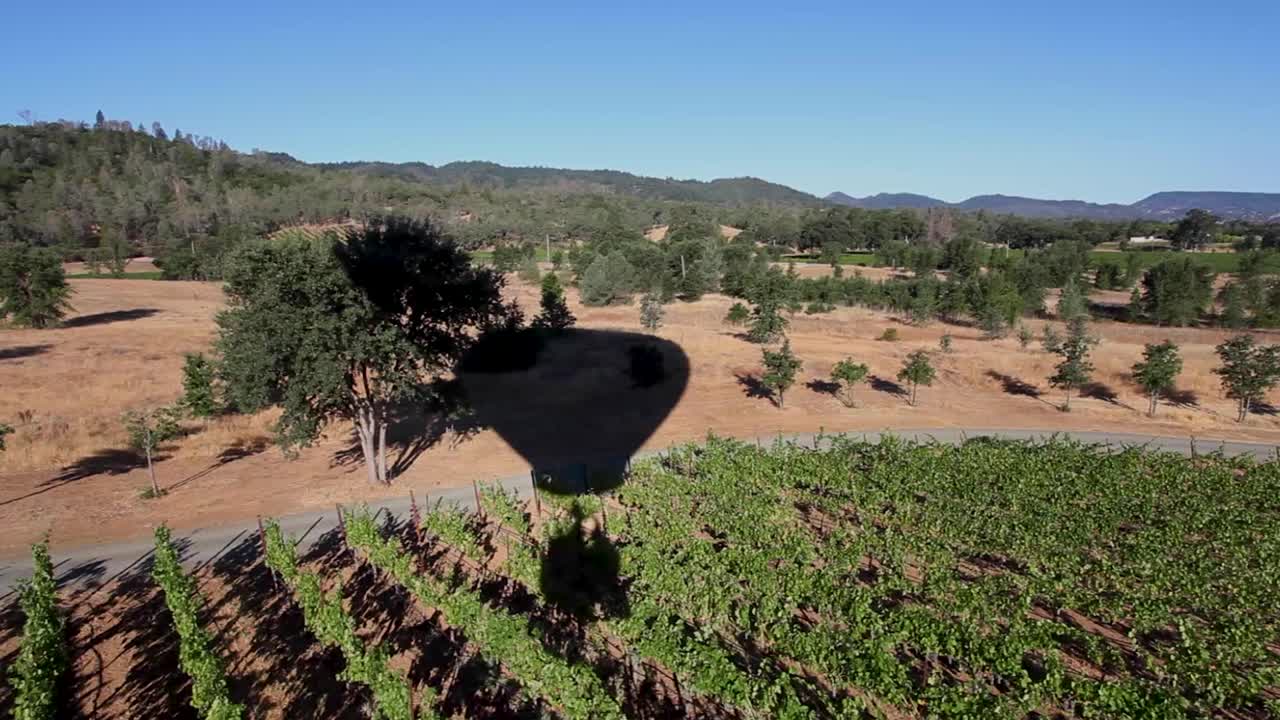 밝게 빛나는 포프 밸리 포도원 캘리포니아 1에서 풍선 그림자의 열기구에서 찍은 공중 샷