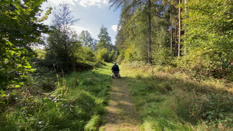 A-lady-using-a-wheelchair-enjoys-a-ramble-through-woodland-on-a-specially-created-accessible-walkway-that-enables-wheelchair-users-to-enjoy-the-nature-around-them-in-Warwickshire,-England