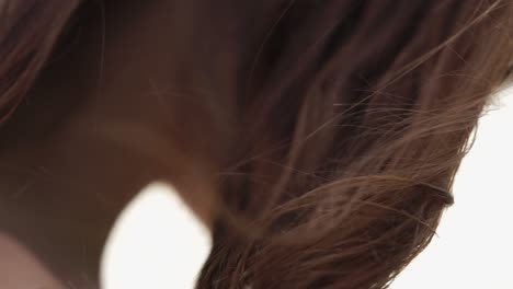 close-up of woman's brown hair