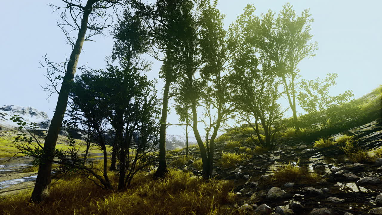 Trees and rocky path in a sunlit landscape near the mountains