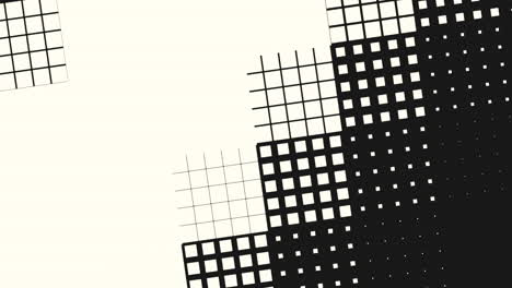 contrasting checkerboard striking black and white grid pattern