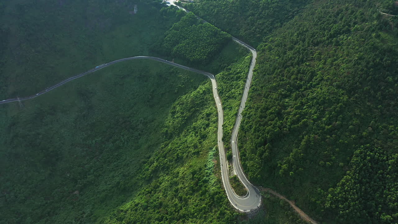 나무 사이에서 보내는 시간은 결코  ⁇ 비되지 않는 시간입니다.