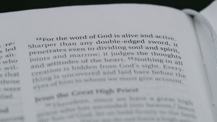 Holy Bible Scripture Word of God Christian Bible