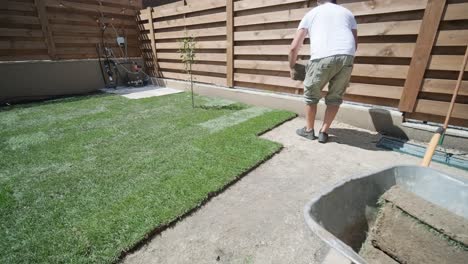 roll of new natural grass turf installed by professional gardener. landscaping industry.