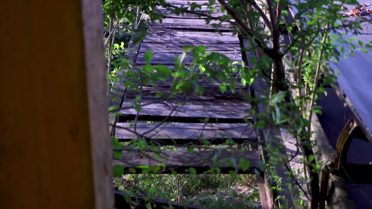 버려진 시멘트 공장의 초목에 의해 잘못 처리된 컨베이어 벨트의 느린 팬