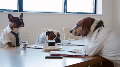 three dogs having a meeting in a business meeting room