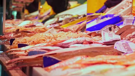 variedad de pescado fresco exhibido en el mercado de pescado, puerto de barbate, cádiz