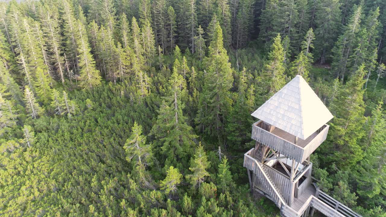 Flight over lookout tower in front of a dense forest at the end of a footpath amidst green nature. Drone shot
