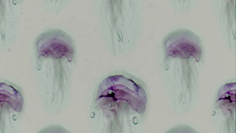 calmante bucle ininterrumpido de medusa rosa púrpura girando en agua clara