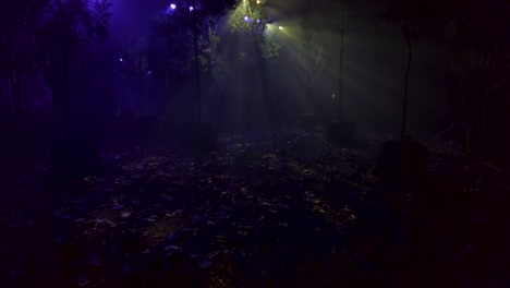 Kippen-Sie-Eine-Aufnahme-In-Einer-Szene-Aus-Einem-Gefälschten-Wald-Mit-Einem-Mysteriösen,-Ruhigen-Blick-In-Das-Licht-Und-Die-Atmosphäre