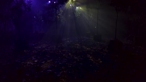 gekanteld shot in een set van een nep bostafereel met een mysterieuze serene uitstraling in het licht en de atmosfeer