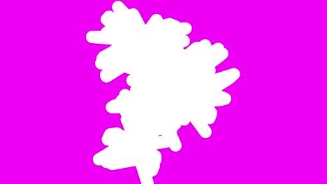trazos gráficos abstractos en fondo rosado
