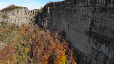 aerial: vertical mountain rock wall over a yellowish forest in autumn