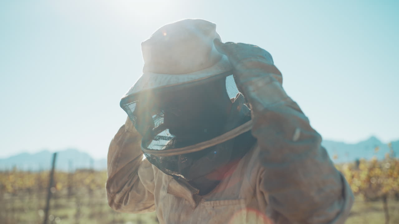 포도 에 있는 양봉업자