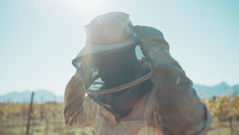 beekeeper in a vineyard